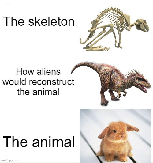 Reality vs Expectations | The skeleton; How aliens would reconstruct the animal; The animal | image tagged in rabbit,rabbits,ooops,aliens | made w/ Imgflip meme maker