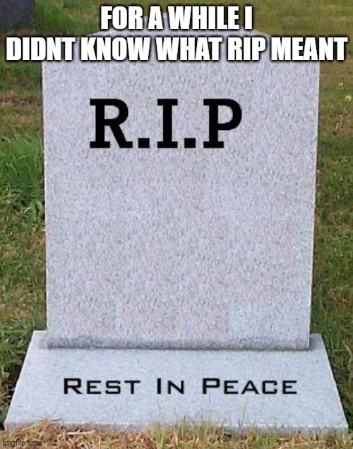 RIP headstone | FOR A WHILE I DIDNT KNOW WHAT RIP MEANT | image tagged in rip headstone | made w/ Imgflip meme maker