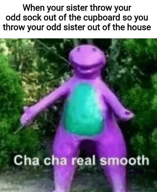 Oof size: MEGA | When your sister throw your odd sock out of the cupboard so you throw your odd sister out of the house | image tagged in cha cha barney | made w/ Imgflip meme maker