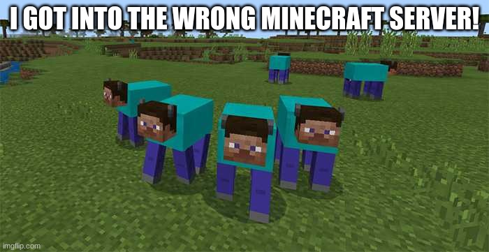 me and the boys | I GOT INTO THE WRONG MINECRAFT SERVER! | image tagged in me and the boys | made w/ Imgflip meme maker
