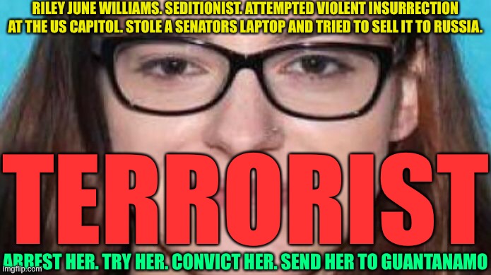 Riley june williams american terrorist | RILEY JUNE WILLIAMS. SEDITIONIST. ATTEMPTED VIOLENT INSURRECTION AT THE US CAPITOL. STOLE A SENATORS LAPTOP AND TRIED TO SELL IT TO RUSSIA. TERRORIST; ARREST HER. TRY HER. CONVICT HER. SEND HER TO GUANTANAMO | image tagged in trump insurrection,trump coup,donald trump approves | made w/ Imgflip meme maker