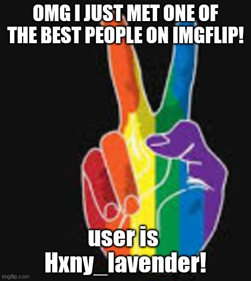 follow them! |  OMG I JUST MET ONE OF THE BEST PEOPLE ON IMGFLIP! user is  Hxny_lavender! | made w/ Imgflip meme maker