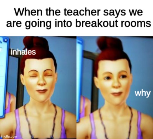 Heyo I'm back, so here is a meme for everyone on online school :D (credit goes to my friend for the images) | image tagged in memes,funny,why,online school,im back,enjoy | made w/ Imgflip meme maker