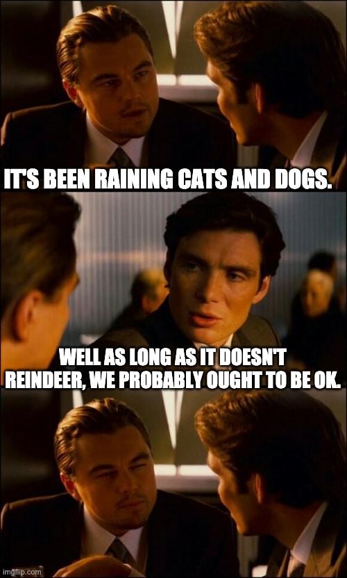 Raining | IT'S BEEN RAINING CATS AND DOGS. WELL AS LONG AS IT DOESN'T REINDEER, WE PROBABLY OUGHT TO BE OK. | image tagged in di caprio inception | made w/ Imgflip meme maker