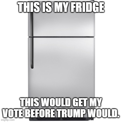 Refrigerator Meme | THIS IS MY FRIDGE THIS WOULD GET MY VOTE BEFORE TRUMP WOULD. | image tagged in refrigerator meme | made w/ Imgflip meme maker