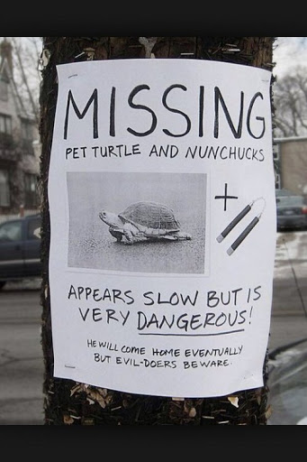 Missing Turtle Blank Meme Template