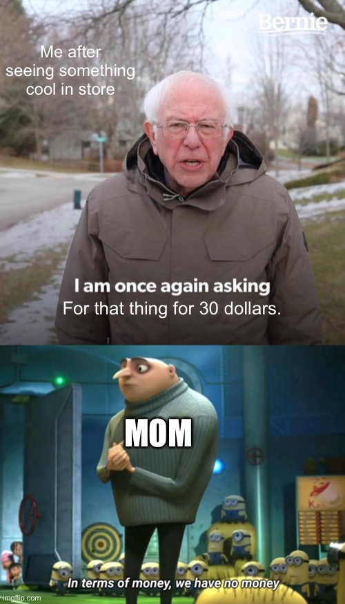 Lol | Me after seeing something cool in store; For that thing for 30 dollars. MOM | image tagged in memes,bernie i am once again asking for your support,in terms of money we have no money | made w/ Imgflip meme maker