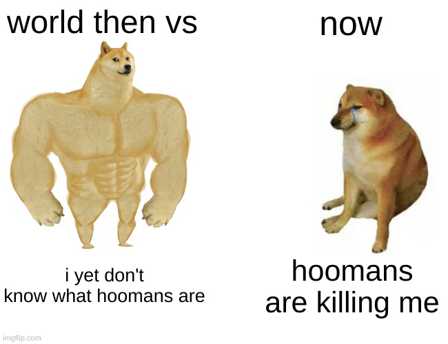 Buff Doge vs. Cheems | world then vs; now; i yet don't know what hoomans are; hoomans are killing me | image tagged in memes,buff doge vs cheems,the world,the end is near,end of the world | made w/ Imgflip meme maker