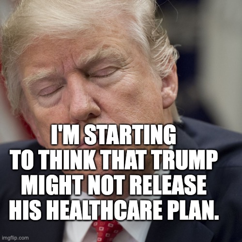 Donald Trump’Ponders Over New Healthcare Plan 2024! | I'M STARTING TO THINK THAT TRUMP MIGHT NOT RELEASE HIS HEALTHCARE PLAN. | image tagged in donald trump,trump don't care plan,sarcasm,liar in chief,con man | made w/ Imgflip meme maker