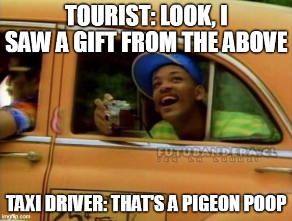 fresh prince of bel air | TOURIST: LOOK, I SAW A GIFT FROM THE ABOVE; TAXI DRIVER: THAT'S A PIGEON POOP | image tagged in fresh prince of bel air | made w/ Imgflip meme maker