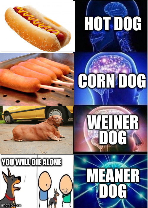 that heckin boi is so mean, but he ain't wrong T-T |  HOT DOG; CORN DOG; WEINER DOG; YOU WILL DIE ALONE; MEANER DOG | image tagged in memes,expanding brain | made w/ Imgflip meme maker