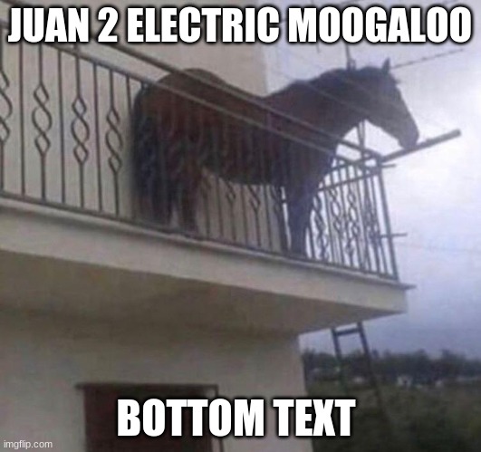 Juan | JUAN 2 ELECTRIC MOOGALOO; BOTTOM TEXT | image tagged in juan | made w/ Imgflip meme maker