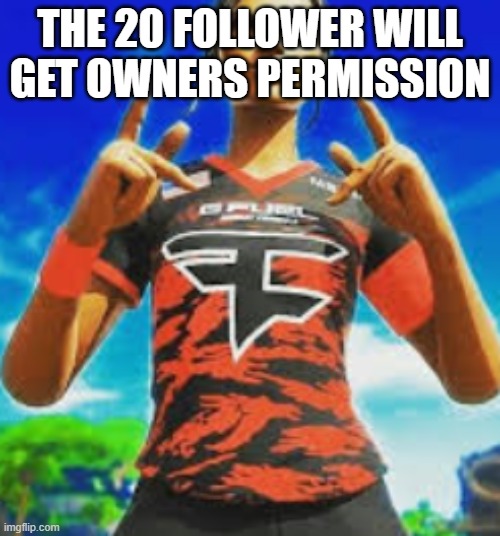  THE 20 FOLLOWER WILL GET OWNERS PERMISSION | made w/ Imgflip meme maker