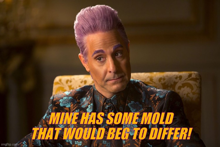 Hunger Games /Caesar Flickerman (Tucci) "I don't know about that | MINE HAS SOME MOLD THAT WOULD BEG TO DIFFER! | image tagged in hunger games /caesar flickerman tucci i don't know about that | made w/ Imgflip meme maker