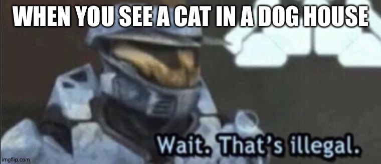 Wait that’s illegal | WHEN YOU SEE A CAT IN A DOG HOUSE | image tagged in wait that s illegal | made w/ Imgflip meme maker