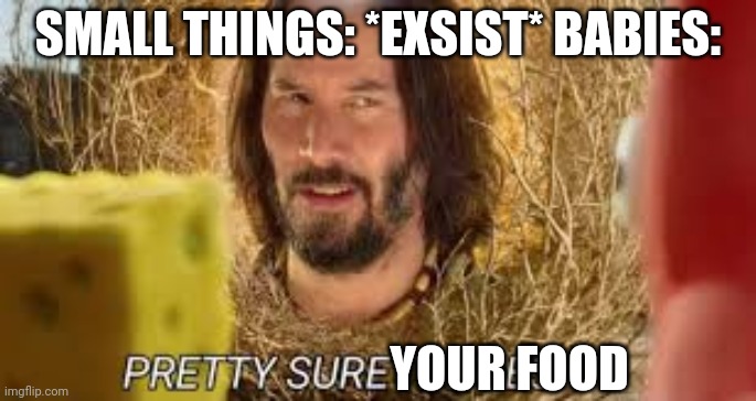 2 year olds be like: | SMALL THINGS: *EXSIST* BABIES:; YOUR FOOD | image tagged in pretty sure it doesn't | made w/ Imgflip meme maker