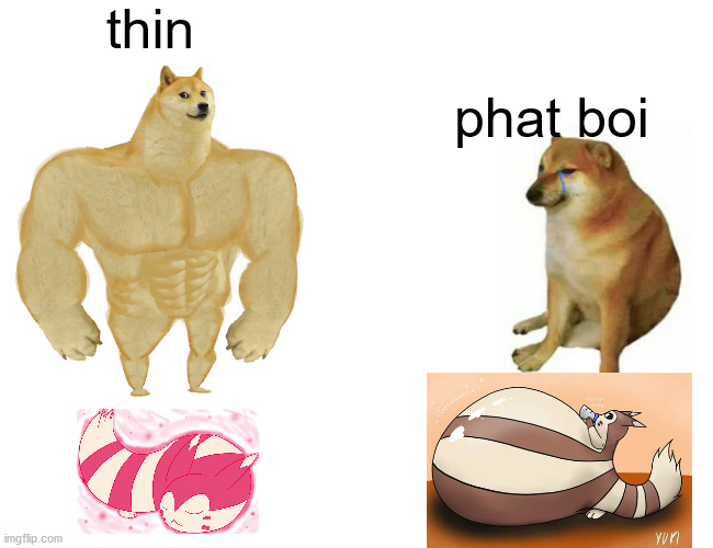 yos | thin; phat boi | image tagged in memes,buff doge vs cheems | made w/ Imgflip meme maker