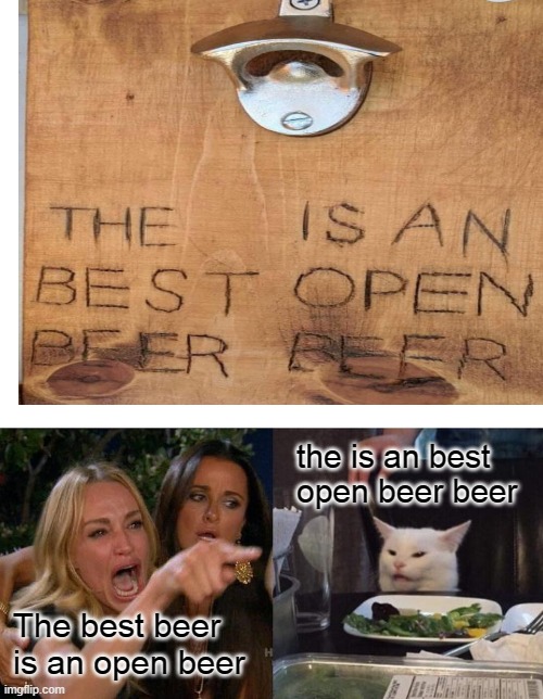 ThE iS aN oPeN bEeR bEeR?? | the is an best open beer beer; The best beer is an open beer | image tagged in memes,woman yelling at cat,cats,cat,funny cat,karen | made w/ Imgflip meme maker