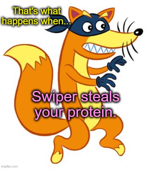 Swiper Steals Photo Comments | That's what happens when... Swiper steals your protein. | image tagged in swiper steals photo comments | made w/ Imgflip meme maker