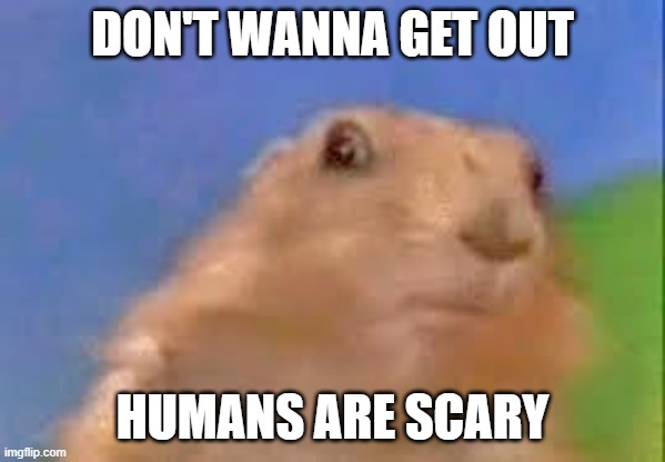 Dramatic Chipmunk | DON'T WANNA GET OUT HUMANS ARE SCARY | image tagged in dramatic chipmunk | made w/ Imgflip meme maker