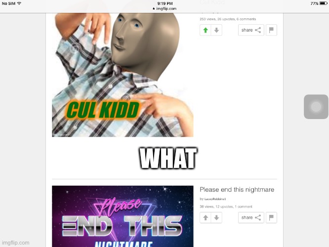 WHAT | made w/ Imgflip meme maker