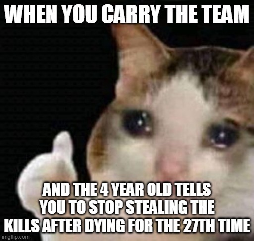 sad thumbs up cat | WHEN YOU CARRY THE TEAM; AND THE 4 YEAR OLD TELLS YOU TO STOP STEALING THE KILLS AFTER DYING FOR THE 27TH TIME | image tagged in sad thumbs up cat | made w/ Imgflip meme maker