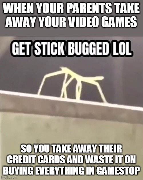 get oofed lol | WHEN YOUR PARENTS TAKE
AWAY YOUR VIDEO GAMES; SO YOU TAKE AWAY THEIR CREDIT CARDS AND WASTE IT ON BUYING EVERYTHING IN GAMESTOP | image tagged in get stick bugged lol,video games | made w/ Imgflip meme maker