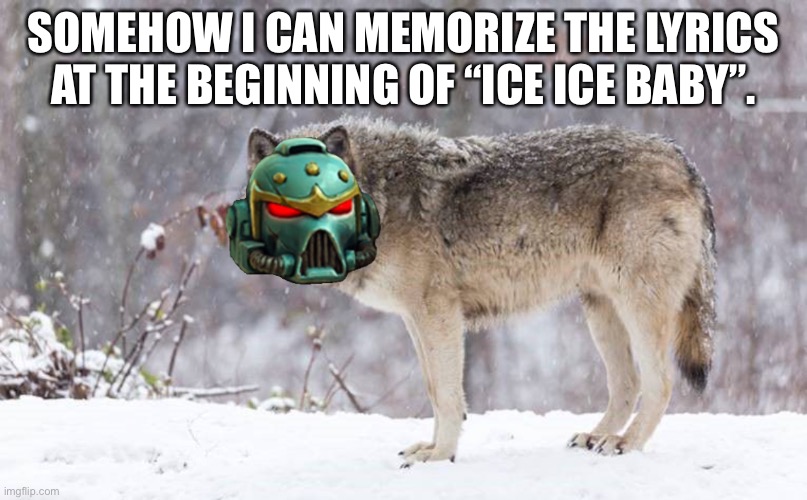 Space Wolf | SOMEHOW I CAN MEMORIZE THE LYRICS AT THE BEGINNING OF “ICE ICE BABY”. | image tagged in space wolf | made w/ Imgflip meme maker