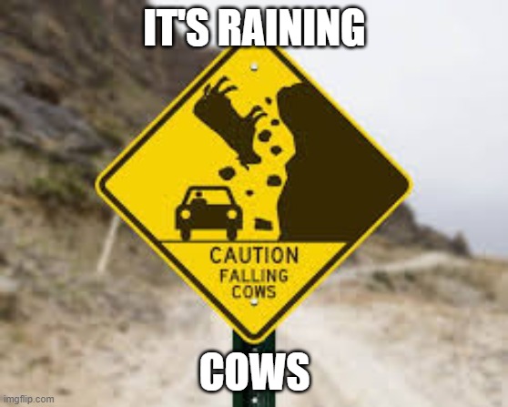 The heck is this? | IT'S RAINING; COWS | made w/ Imgflip meme maker
