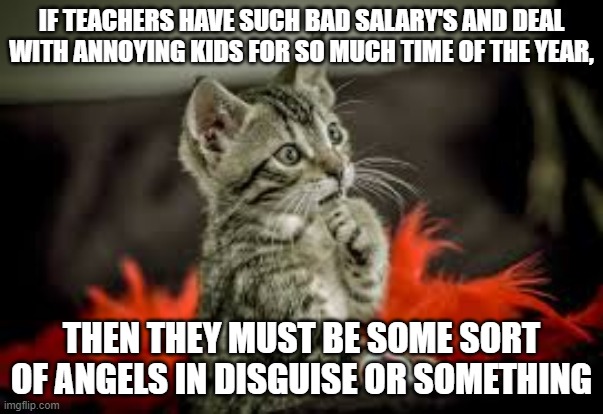 If teachers have such bad salary's,... | IF TEACHERS HAVE SUCH BAD SALARY'S AND DEAL WITH ANNOYING KIDS FOR SO MUCH TIME OF THE YEAR, THEN THEY MUST BE SOME SORT OF ANGELS IN DISGUISE OR SOMETHING | image tagged in memes | made w/ Imgflip meme maker