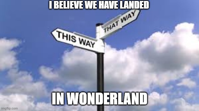 Here we come Alice | I BELIEVE WE HAVE LANDED; IN WONDERLAND | made w/ Imgflip meme maker