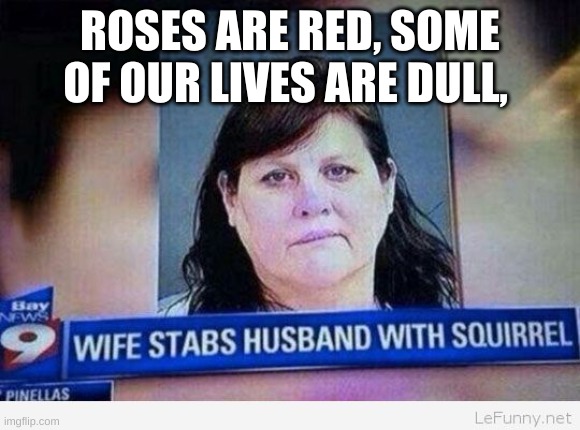 Is that really a weapon? | ROSES ARE RED, SOME OF OUR LIVES ARE DULL, | image tagged in squirrel,stab | made w/ Imgflip meme maker