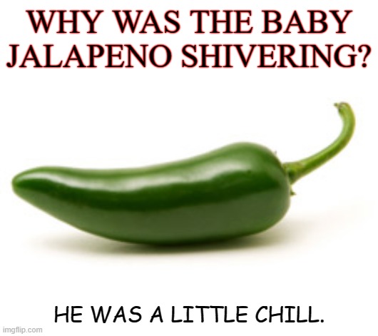 Daily Bad Dad Joke Jan 19 2021 | WHY WAS THE BABY JALAPENO SHIVERING? HE WAS A LITTLE CHILL. | image tagged in jalapeno | made w/ Imgflip meme maker