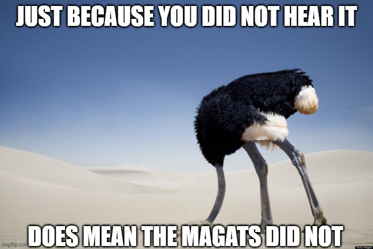 Ostrich head in sand | JUST BECAUSE YOU DID NOT HEAR IT DOES MEAN THE MAGATS DID NOT | image tagged in ostrich head in sand | made w/ Imgflip meme maker