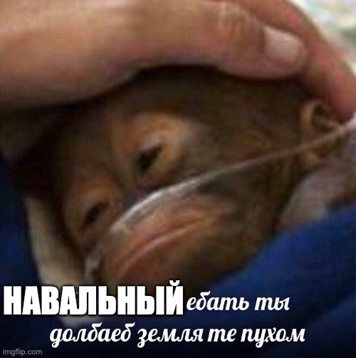 НАВАЛЬНЫЙ | made w/ Imgflip meme maker