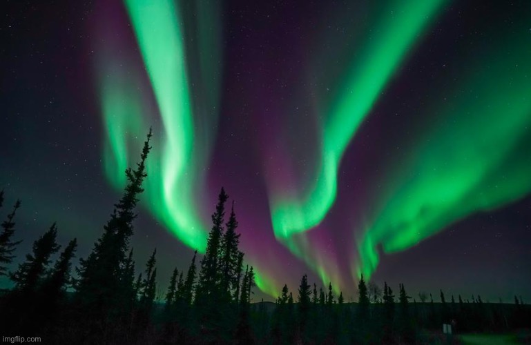 This is why I wanna live in Alaska | made w/ Imgflip meme maker