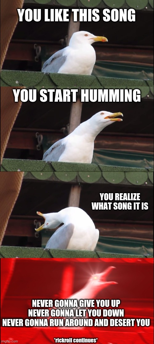 Inhaling Seagull Meme | YOU LIKE THIS SONG; YOU START HUMMING; YOU REALIZE WHAT SONG IT IS; NEVER GONNA GIVE YOU UP
NEVER GONNA LET YOU DOWN
NEVER GONNA RUN AROUND AND DESERT YOU; *rickroll continues* | image tagged in memes,inhaling seagull | made w/ Imgflip meme maker