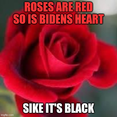 Roses | ROSES ARE RED SO IS BIDENS HEART; SIKE IT'S BLACK | image tagged in roses are red | made w/ Imgflip meme maker