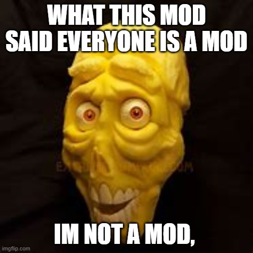 WHAT THIS MOD SAID EVERYONE IS A MOD; IM NOT A MOD, | made w/ Imgflip meme maker