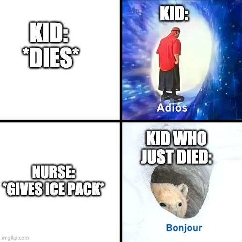 Adios Bonjour | KID:; KID:  *DIES*; KID WHO JUST DIED:; NURSE: *GIVES ICE PACK* | image tagged in adios bonjour | made w/ Imgflip meme maker