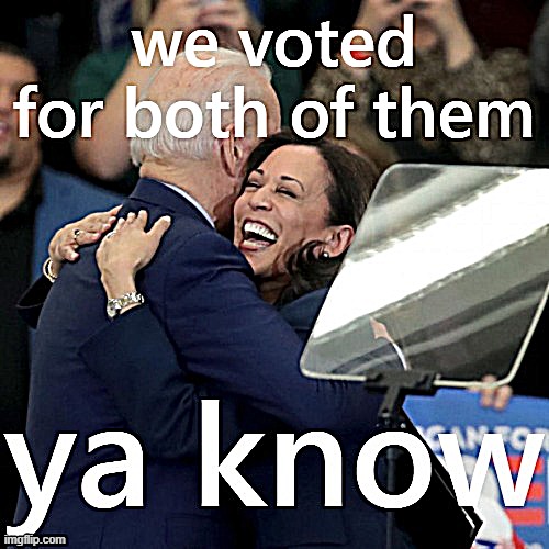 do we mind that we voted for a man and might one day get a woman? Not one fig. | made w/ Imgflip meme maker