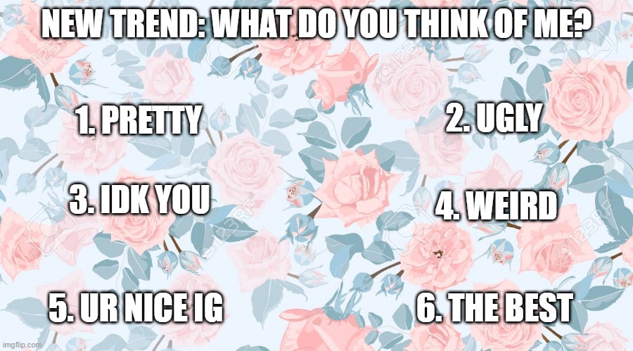 new trend...hoping this becomes a thing...idk tho lol | NEW TREND: WHAT DO YOU THINK OF ME? 2. UGLY; 1. PRETTY; 3. IDK YOU; 4. WEIRD; 5. UR NICE IG; 6. THE BEST | image tagged in memer,personality,trends,idk | made w/ Imgflip meme maker