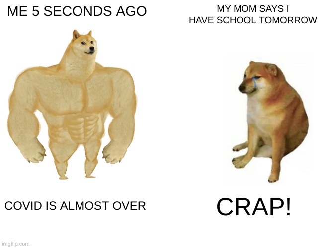 SCHOOL | ME 5 SECONDS AGO; MY MOM SAYS I HAVE SCHOOL TOMORROW; COVID IS ALMOST OVER; CRAP! | image tagged in memes,buff doge vs cheems | made w/ Imgflip meme maker