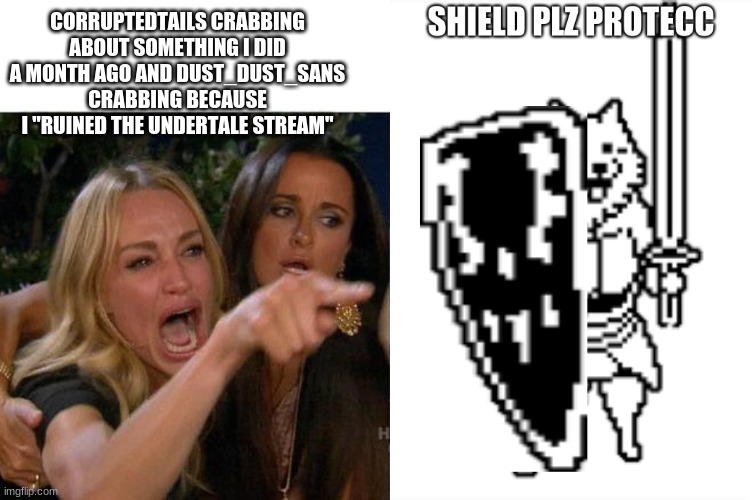 you two can shut up | CORRUPTEDTAILS CRABBING ABOUT SOMETHING I DID A MONTH AGO AND DUST_DUST_SANS CRABBING BECAUSE I "RUINED THE UNDERTALE STREAM" | image tagged in memes,woman yelling at cat,shield plz protecc | made w/ Imgflip meme maker