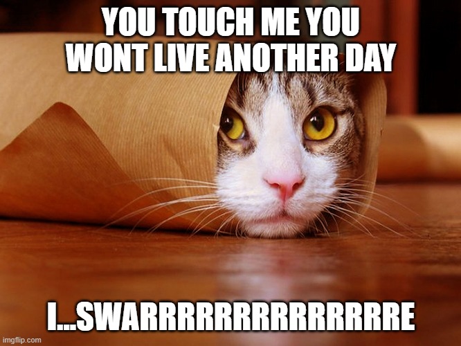 evil cat | YOU TOUCH ME YOU WONT LIVE ANOTHER DAY; I...SWARRRRRRRRRRRRRRE | image tagged in evil cat | made w/ Imgflip meme maker