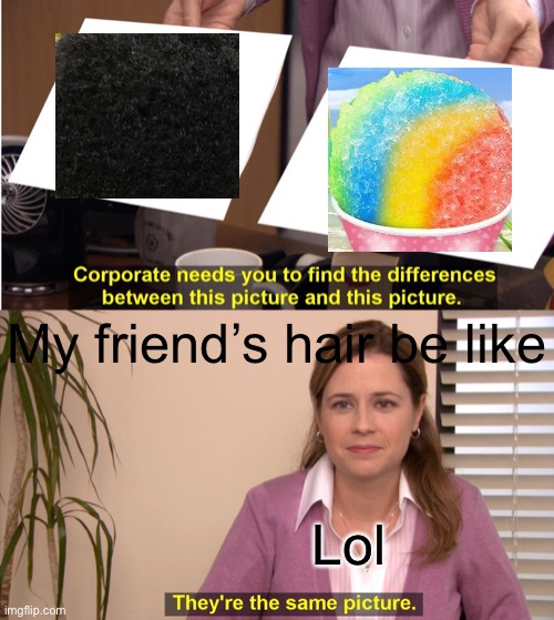 They're The Same Picture | My friend’s hair be like; Lol | image tagged in memes,they're the same picture | made w/ Imgflip meme maker