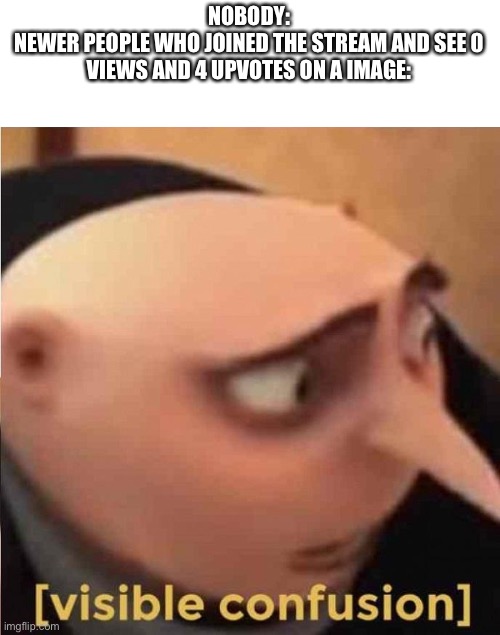 Visible confusion | NOBODY:
NEWER PEOPLE WHO JOINED THE STREAM AND SEE 0 VIEWS AND 4 UPVOTES ON A IMAGE: | image tagged in visible confusion | made w/ Imgflip meme maker