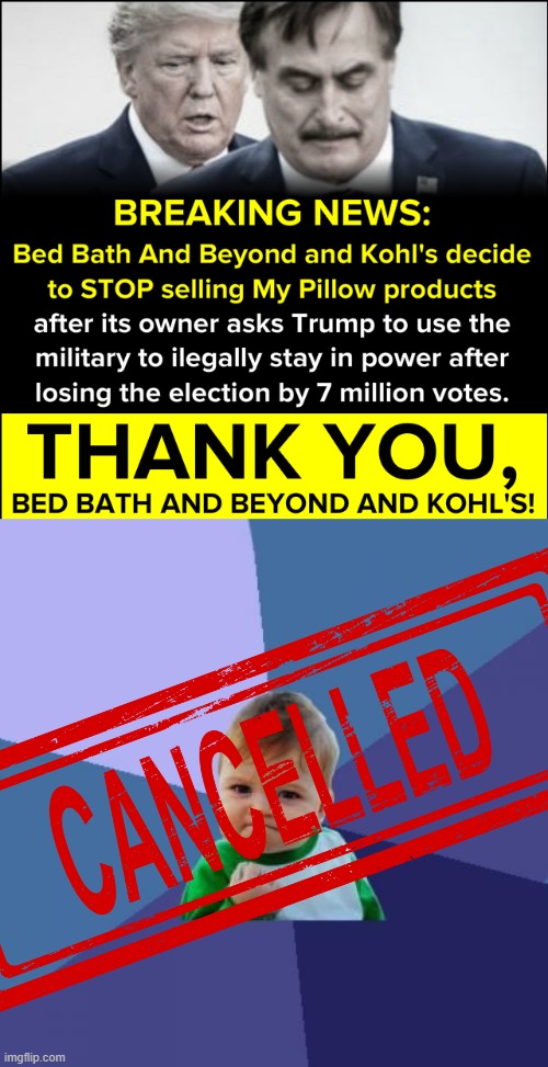 eyyyyyy corporate America realizes fascism is bad for business | image tagged in mypillow guy cancelled,memes,success kid | made w/ Imgflip meme maker