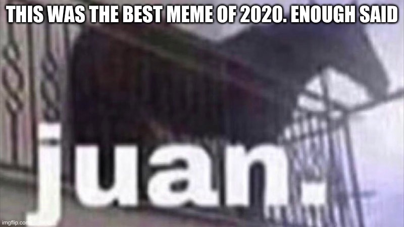 YES | THIS WAS THE BEST MEME OF 2020. ENOUGH SAID | image tagged in memes,funny,juan,horse,2020 | made w/ Imgflip meme maker