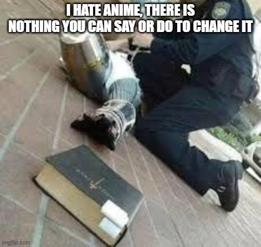 i hate anime | I HATE ANIME, THERE IS NOTHING YOU CAN SAY OR DO TO CHANGE IT | made w/ Imgflip meme maker